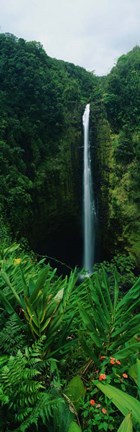 Framed Akaka Falls Print