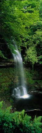 Framed Yeats Waterfall, Ireland Print