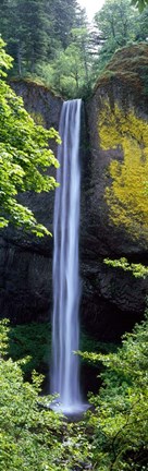 Framed Latourell Falls, Columbia River Gorge, Oregon Print