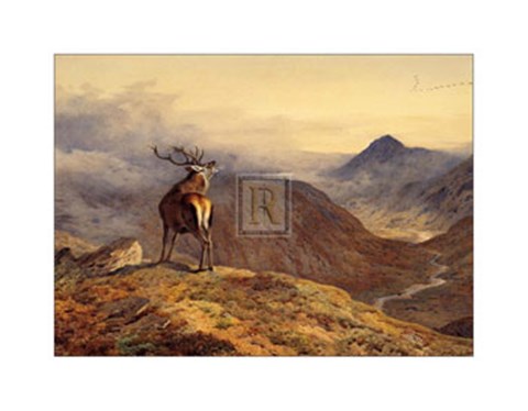 Framed Voices of the Forest (LE) Print