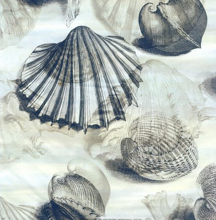 Framed Shell engraving 1 Print