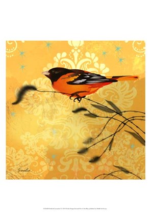 Framed Oriole &amp; Cartouche I Print
