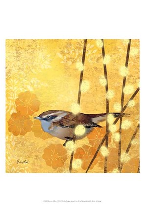 Framed Wren on Yellow I Print