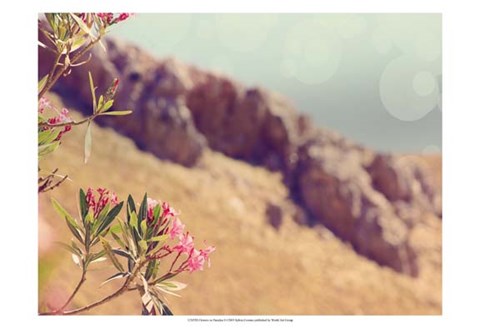 Framed Flowers in Paradise I Print