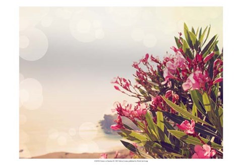 Framed Flowers in Paradise II Print