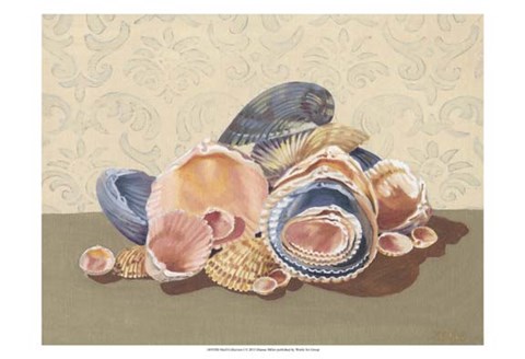 Framed Shell Collection I Print
