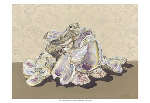 Framed Shell Collection II Print