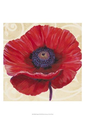Framed Red Poppy II Print