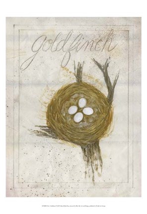 Framed Nest - Goldfinch Print