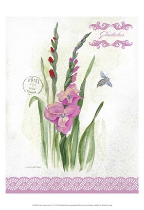 Framed Flower Study on Lace VI Print