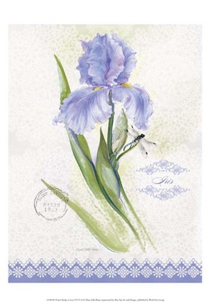 Framed Flower Study on Lace VII Print
