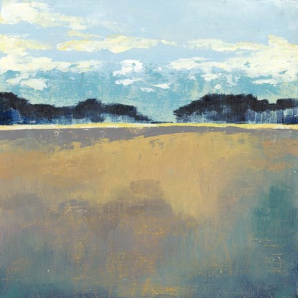 Framed Aureate Seascape II Print