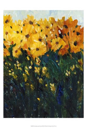 Framed Color Spectrum Flowers II Print