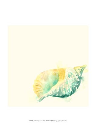 Framed Tidal Impressions V Print