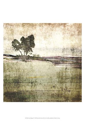 Framed Forest Glimpse IV Print