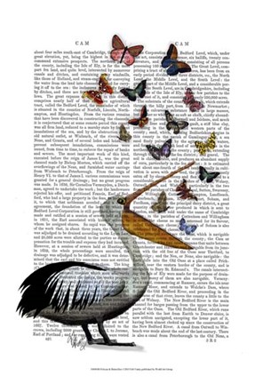 Framed Pelican &amp; Butterflies Print