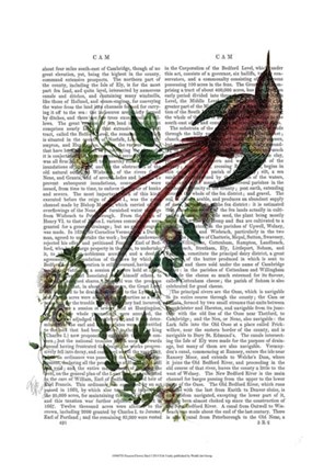 Framed Passion Flower Bird Print