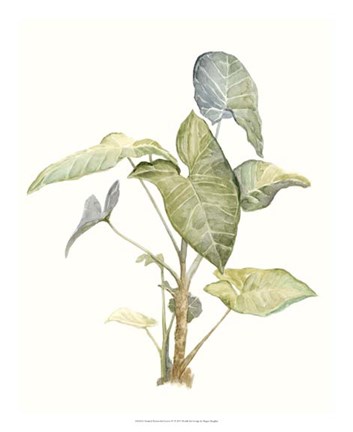 Framed Tropical Watercolor Leaves IV Print