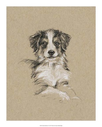 Framed Breed Sketches IV Print