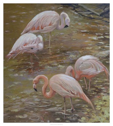 Framed Pink Passion Print