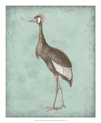 Framed Sepia &amp; Spa Heron II Print