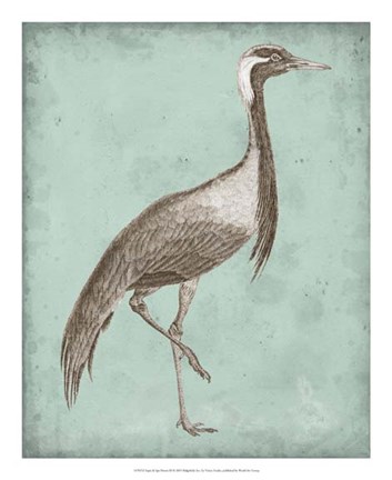 Framed Sepia &amp; Spa Heron III Print