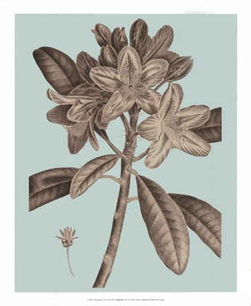 Framed Flowering Trees IV Print