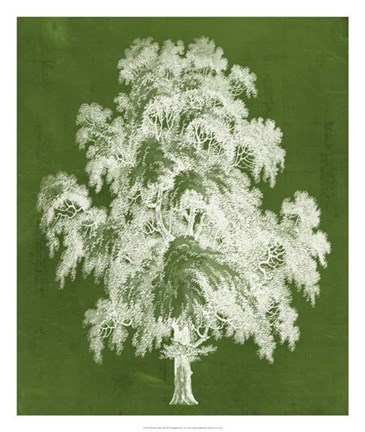 Framed Modern Arbor II Print