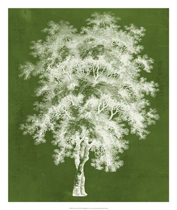 Framed Modern Arbor III Print