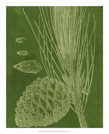 Framed Modern Pine I Print