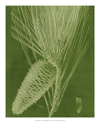 Framed Modern Pine II Print