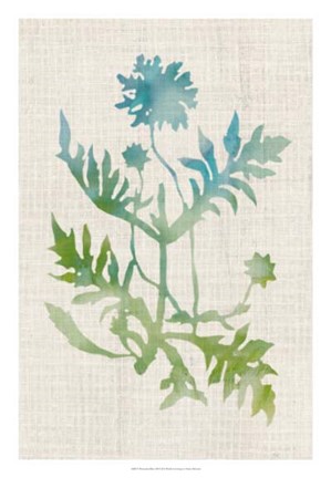 Framed Watercolor Plants III Print