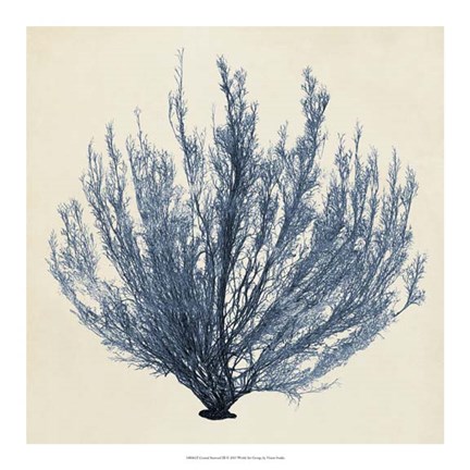 Framed Coastal Seaweed III Print