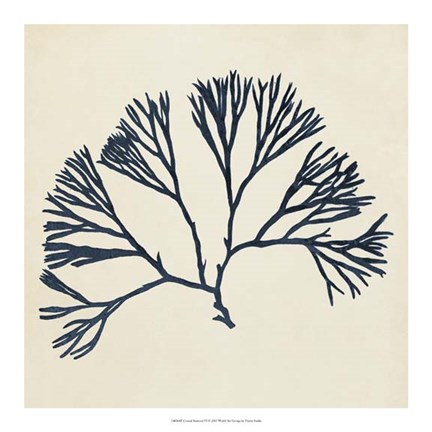 Framed Coastal Seaweed VI Print
