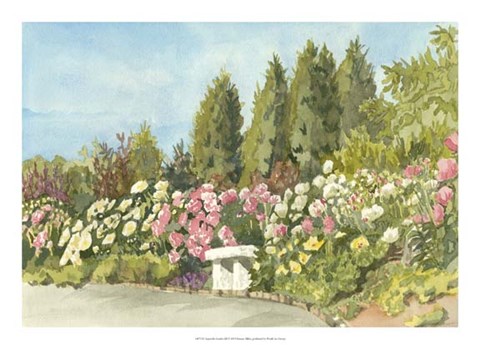 Framed Aquarelle Garden III Print