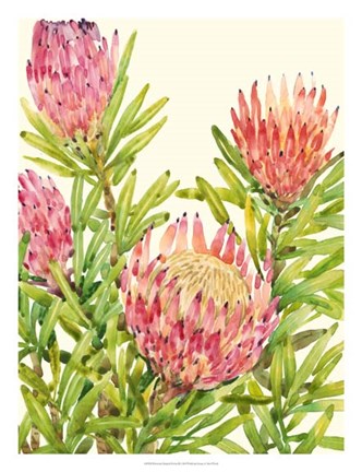 Framed Watercolor Tropical Flowers II Print