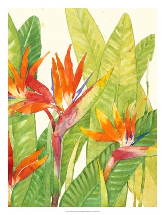 Framed Watercolor Tropical Flowers IV Print