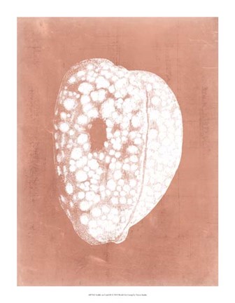 Framed Sealife on Coral III Print