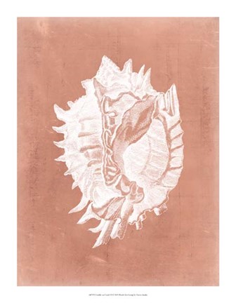 Framed Sealife on Coral VI Print