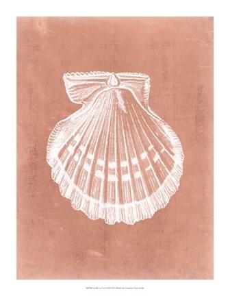 Framed Sealife on Coral VII Print