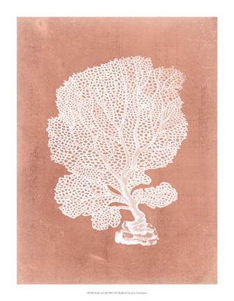 Framed Sealife on Coral VIII Print