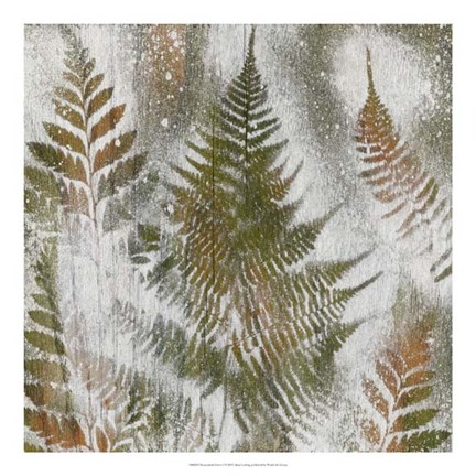 Framed Shenandoah Grove I Print