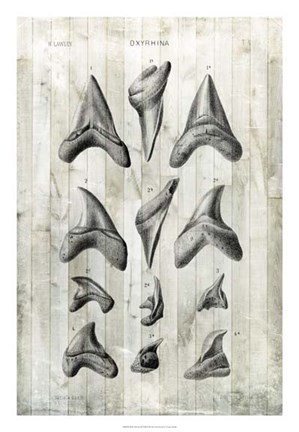 Framed Relic Hunter II Print