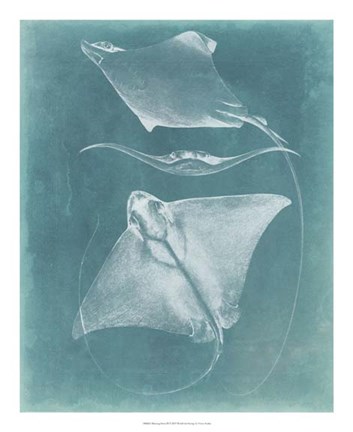 Framed Morning Swim III Print