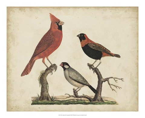 Framed Cardinal &amp; Grosbeak Print