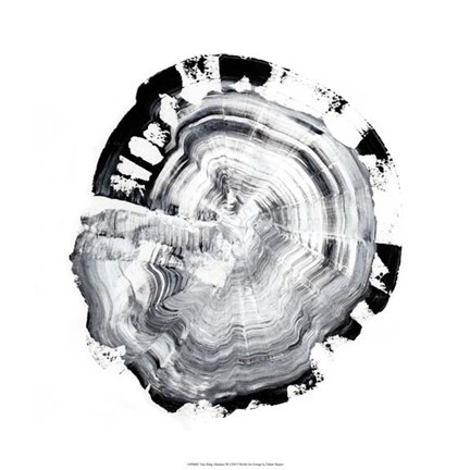Framed Tree Ring Abstract III Print