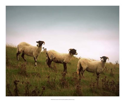 Framed Wooly Friends I Print