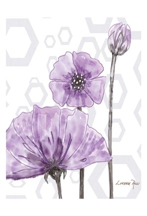 Framed Poppy Arch Rect 1 Print