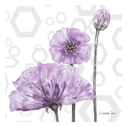 Framed Poppy Arch 1 Print