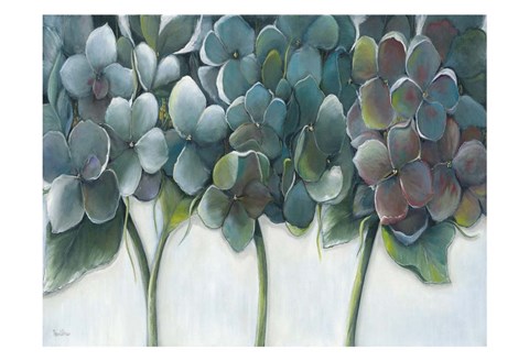 Framed Hydrangea Morning Print